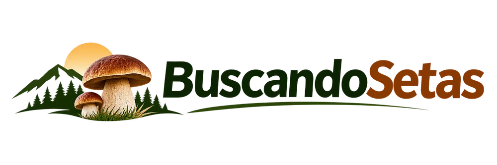 BuscandoSetas